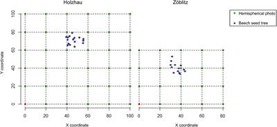 Evaluation of a Restoration Approach After One Century – Effects of Admixed European Beech on the Natural Regeneration Potential and Humus Condition in Spruce Stands